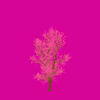 greenshift tree