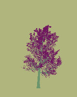 greenshift tree