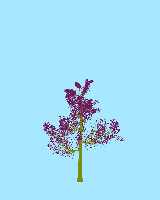 greenshift tree
