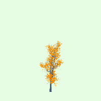 greenshift tree