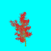 greenshift tree