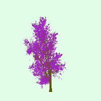 greenshift tree