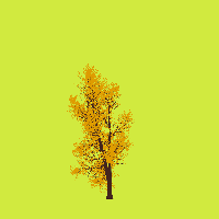 greenshift tree