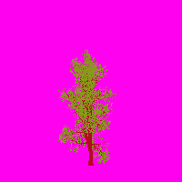 greenshift tree