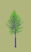 greenshift tree