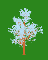 greenshift tree