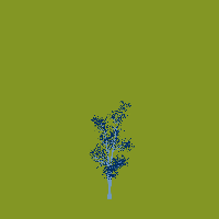 greenshift tree