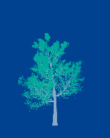 greenshift tree