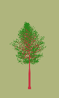 greenshift tree