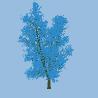 greenshift tree