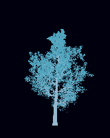 greenshift tree