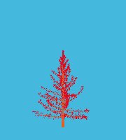 greenshift tree