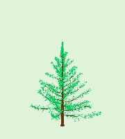 greenshift tree