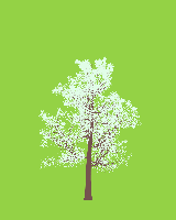 greenshift tree