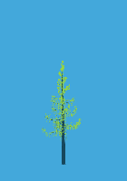 greenshift tree