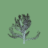 greenshift tree