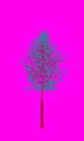 greenshift tree