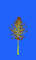 greenshift tree