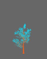 greenshift tree