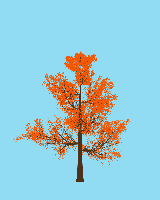 greenshift tree
