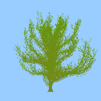greenshift tree