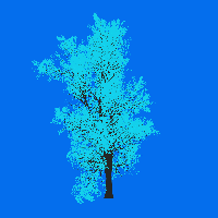 greenshift tree