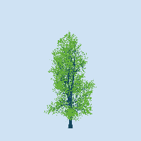 greenshift tree