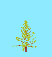 greenshift tree