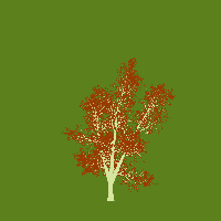 greenshift tree
