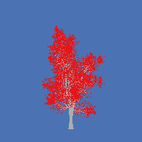 greenshift tree