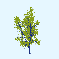 greenshift tree