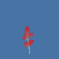 greenshift tree