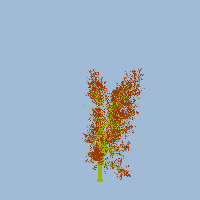 greenshift tree