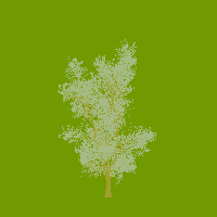 greenshift tree