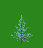 greenshift tree