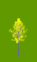 greenshift tree