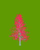 greenshift tree