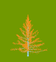 greenshift tree