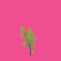greenshift tree