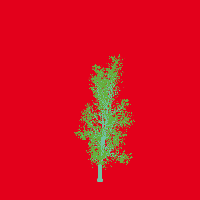 greenshift tree