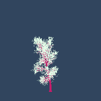 greenshift tree