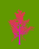 greenshift tree