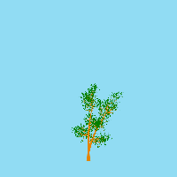 greenshift tree