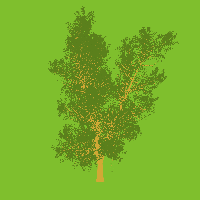 greenshift tree