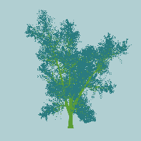 greenshift tree