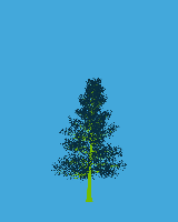 greenshift tree