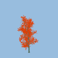 greenshift tree