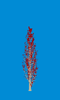 greenshift tree