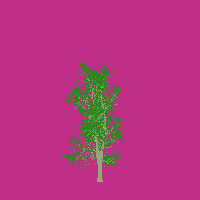 greenshift tree