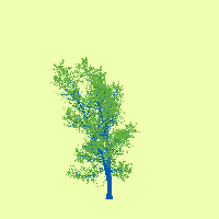 greenshift tree